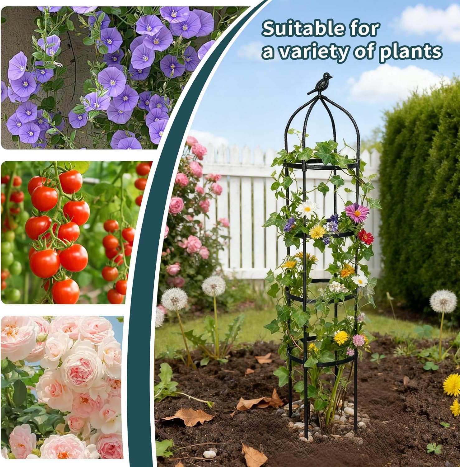 2 Pack Garden Obelisk Trellis for Climbing Plants Outdoor, Plant Trellis Garden Tower Trellis for Potted Plant Climbing, Flowers Vegetable Cucumber Trellis - 图片 5